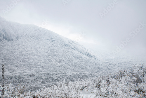 Wallpaper Mural 새하얀 겨울 풍경 Torontodigital.ca