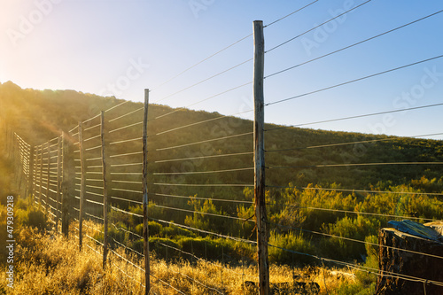 Game fence in early morning light