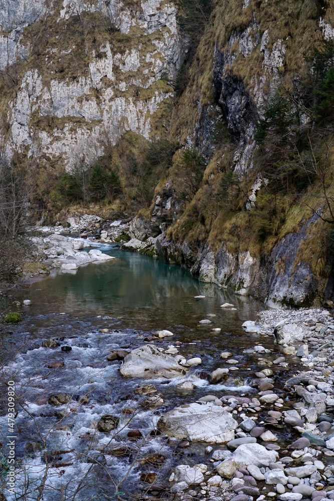 Dezzo River in the Scalve Valley, near Bergamo Dezzo River in the Scalve Valley, near Bergamo