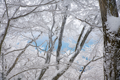 눈이 내린 겨울 풍경 © DaeHyck