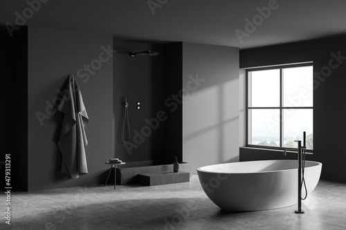 Dark bathroom interior with shower  bathtub  window with countryside view