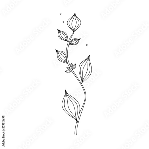 One line leaves set. Abstract botanical set of line branches and leaves. Plants in continuous line style.