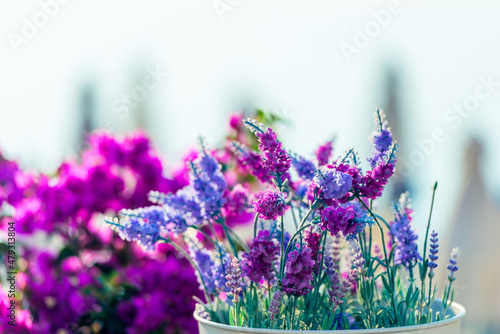 Beautiful lavender flowers on window sill indoors