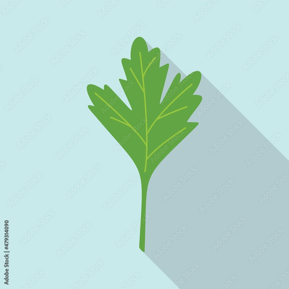 Naklejka premium Parsley dill icon flat vector. Herb leaf