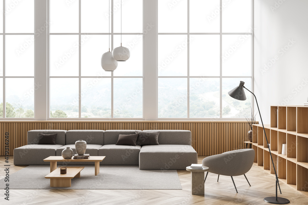 Fototapeta premium Modern relaxing room interior with sofa and armchair with shelf near window