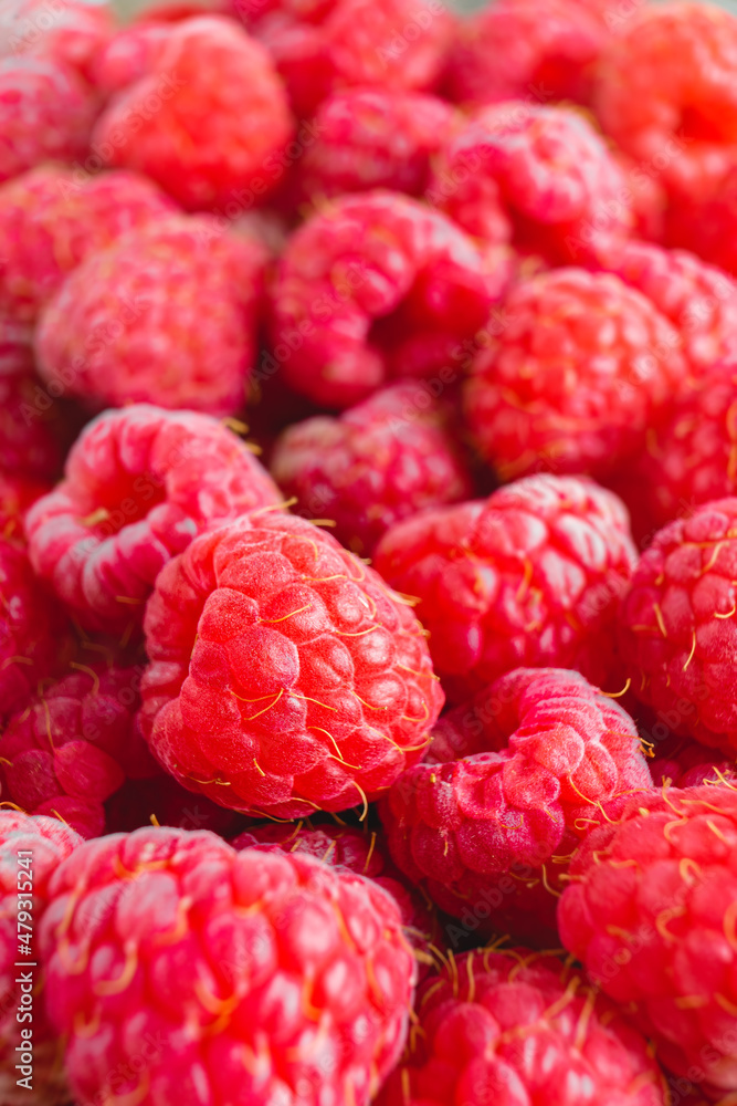 Fresh and sweet red organic raspberries close up texture background Fresh and sweet red organic raspberries close up texture background