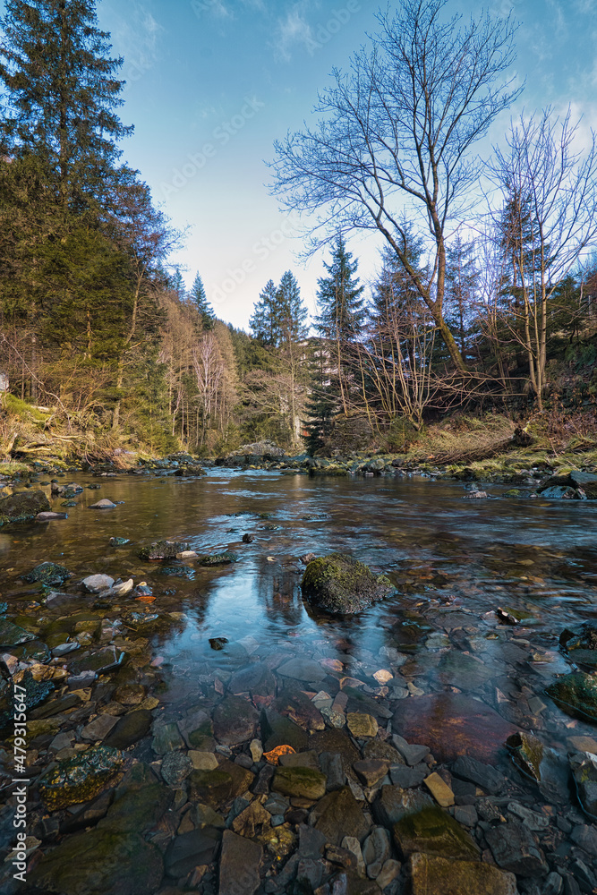 Bach im Waldstück Bach im Waldstück