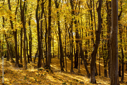 Autumn © Dimitar Marinov