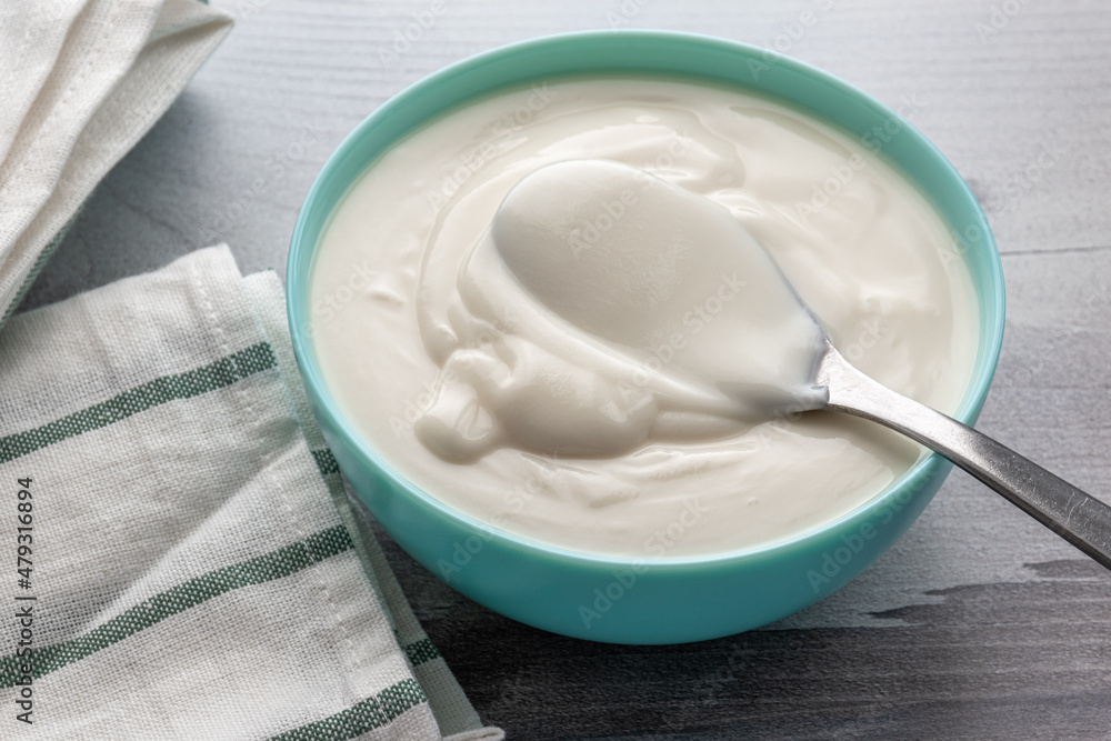 greek yogurt in ceramic bowl, dairy free, gluten free, probiotic food for good gut health greek yogurt in ceramic bowl, dairy free, gluten free, probiotic food for good gut health