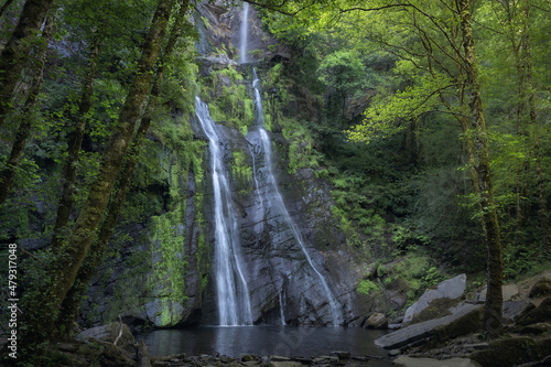 Deep Forest and Waterfall in Galicoa, Spain