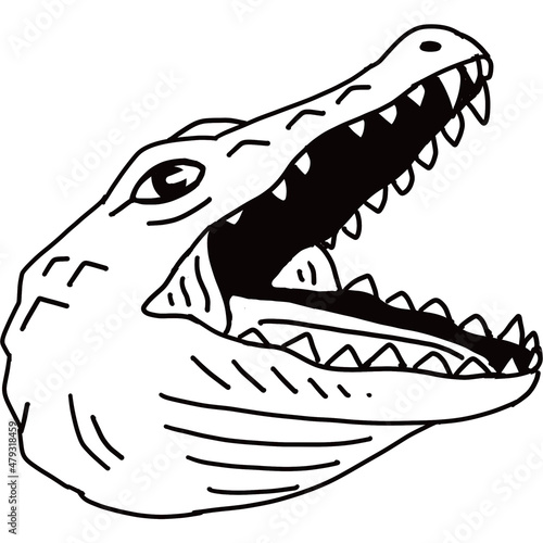crocodile head