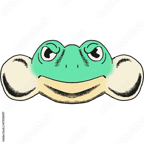 vintages comic style frog face