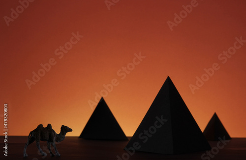 Egypt pyramid with camel in sunset