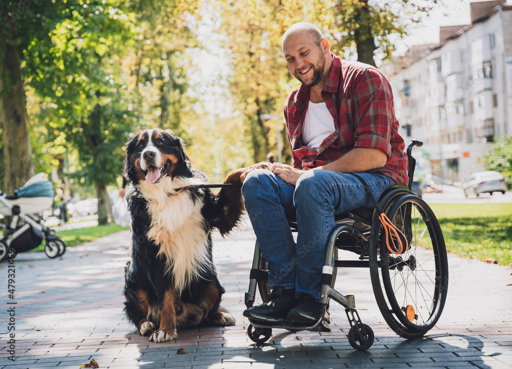 Happy young man with a physical disability who uses wheelchair with his dog. - obrazy, fototapety, plakaty 