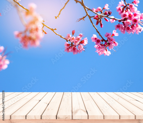 Wood desk or wood floor for product display with pink Sakura background © tendo23