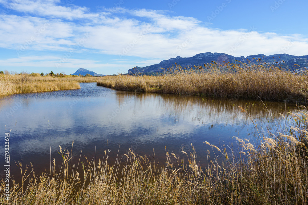 Wetlands in Mediterranean coast. Marjal Pego Oliva Natural Park, Valencia, Spain