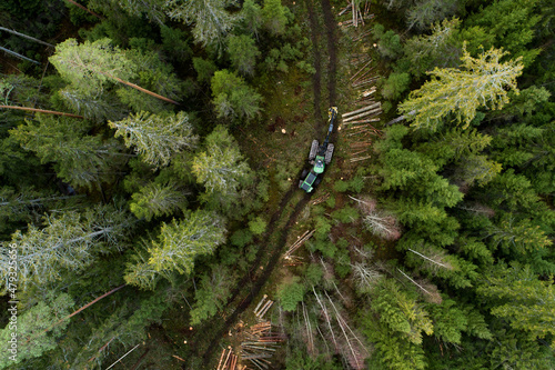Photos A large green wood harvester moving in the middle of Estonian coniferous forest