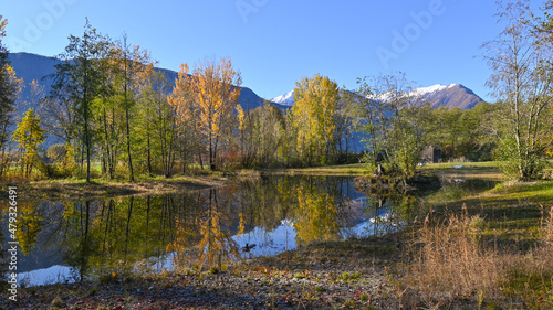 Fototapeta Naklejka Na Ścianę i Meble -  Paesaggio di campagna in autunno, con vista della palude, delle montagne e degli alberi colorati di foglie gialle e rosse