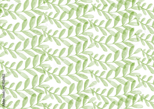 Green Leave on white Background. Watercolor Backdrop. Tropical Leaf