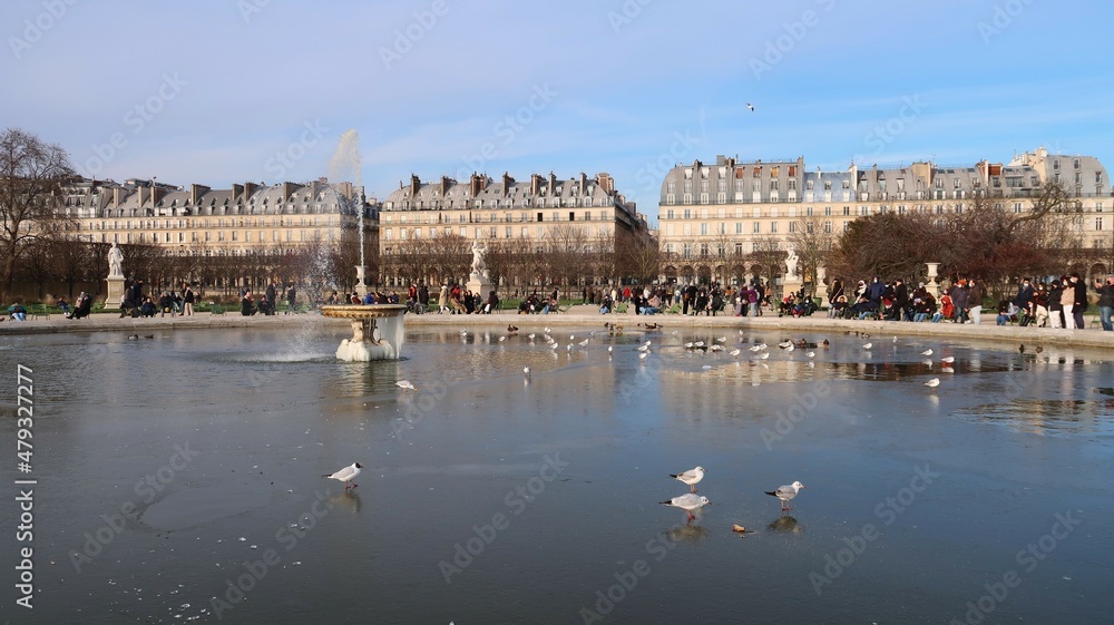 Gel en hiver dans la ville de Paris, avec de la glace sur une fontaine du jardin des Tuileries et des mouettes posées sur l’eau gelée du Grand Bassin Rond (France)