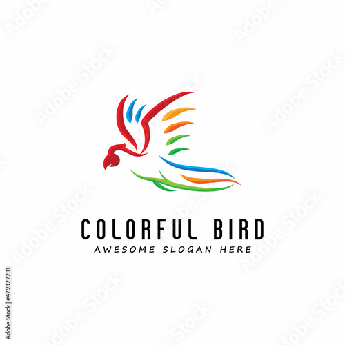 modern colorful bird logo design, parrot logo inspiration, symbol, abstract bird, vector template