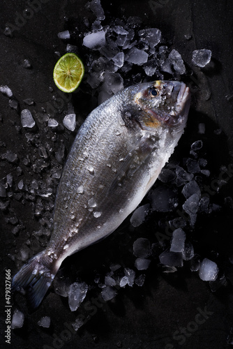 Large fresh fish in ice on a black background