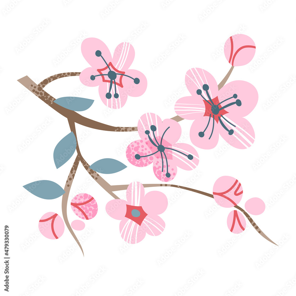 Fototapeta premium Japanese sakura, cherry tree branch with blooming flowers in Japan, cute pink blossoms