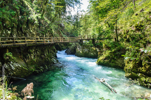 Fototapeta Naklejka Na Ścianę i Meble -  Vintgar Gorge in Slovenia near Lake Bled. Wild nature with river and waterfall in deep canyon. Accessible for tourists on bridges and footbridges.