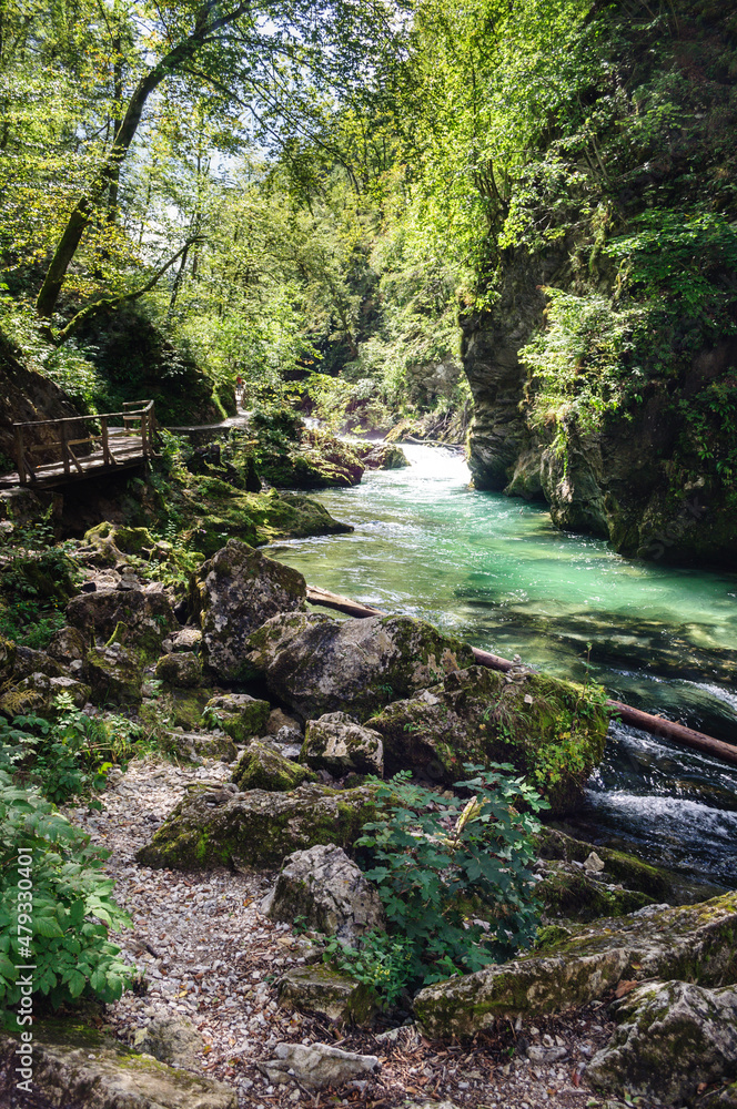 Vintgar Gorge in Slovenia near Lake Bled. Wild nature with river and waterfall in deep canyon. Accessible for tourists on bridges and footbridges.
