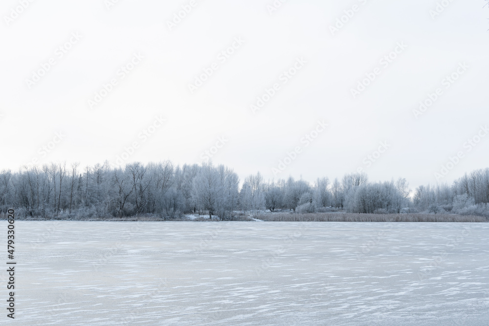 Calm winter landscape with frozen lake background Calm winter landscape with frozen lake background