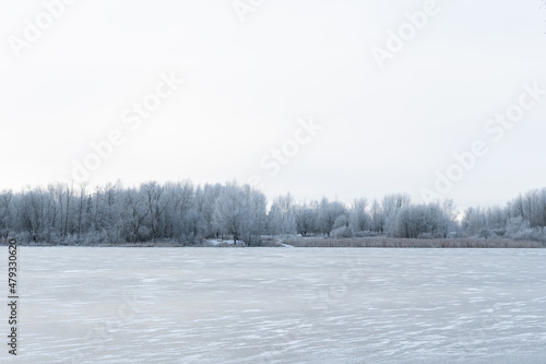 Calm winter landscape with frozen lake background