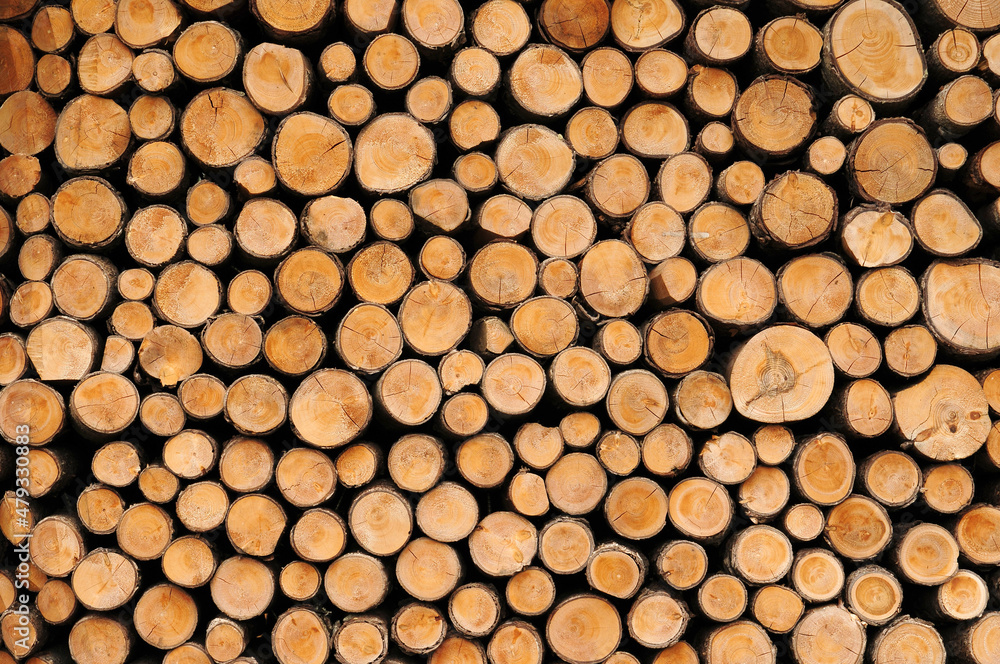 Cutting wood background for decorate, industrial decoration concept Cutting wood background for decorate, industrial decoration concept