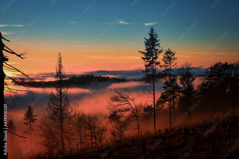 Abendnebel