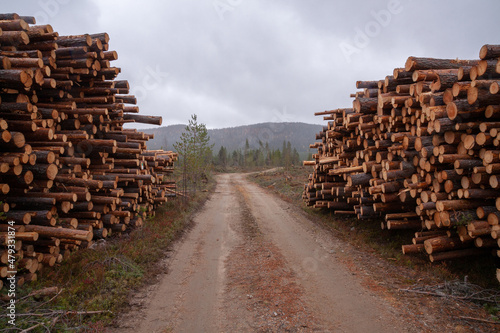 Large piles of lumber next to a road leading to a fell covered with forest in Northern Finland. 