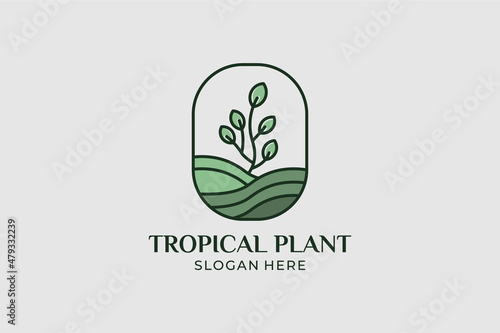 tropical plant logo set minimalist style photo