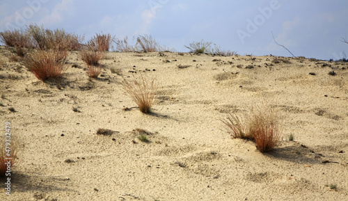 Bledow Desert near Klucze. Poland photo