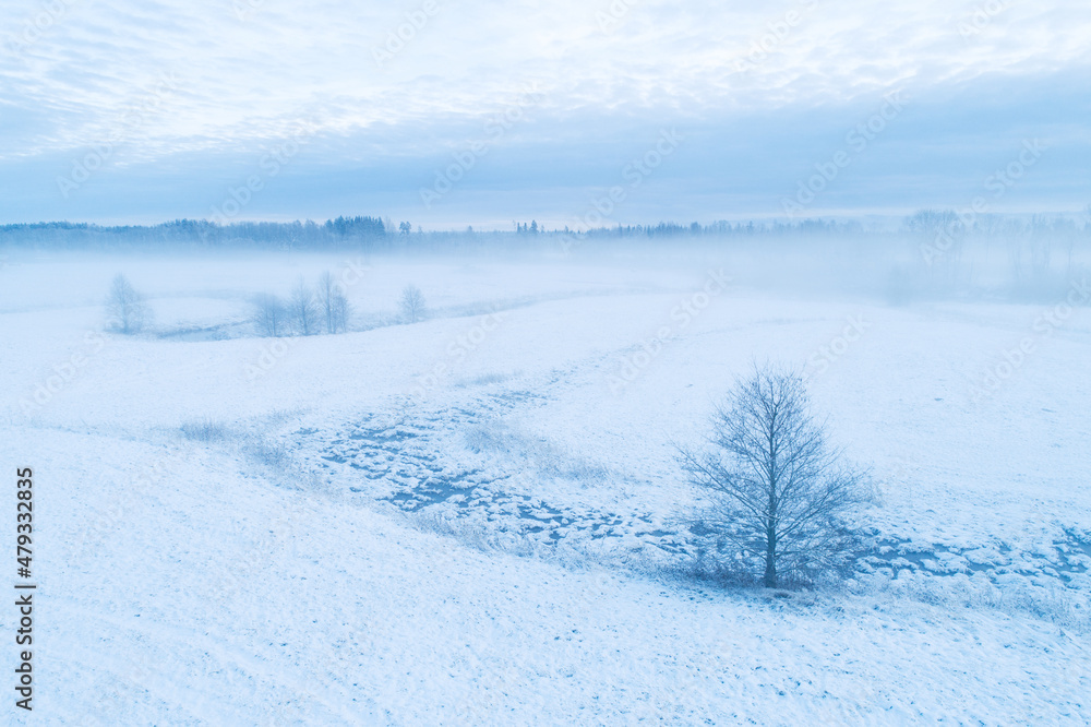 Misty winter landscape with a lonely tree in Estonia, Northern Europe. Misty winter landscape with a lonely tree in Estonia, Northern Europe.
