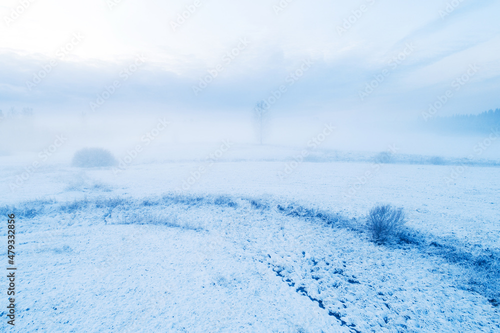 Misty winter landscape with a lonely tree in Estonia, Northern Europe.	