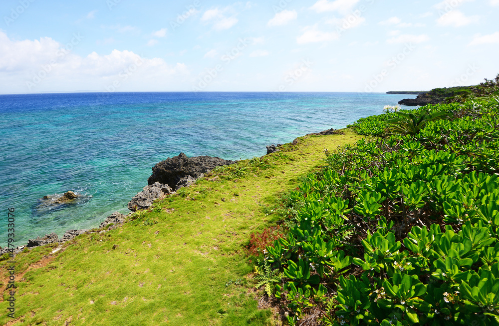 沖縄の美しい海