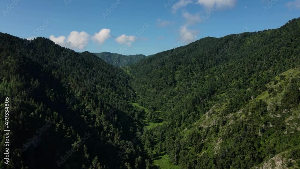 Green trees located on several mountain peaks. Aerial photography of a large cluster of trees. Summer mountain landscapes. Green trees located on several mountain peaks. Aerial photography of a large cluster of trees. Summer mountain landscapes.