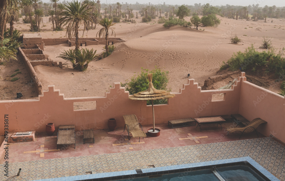 Fototapeta premium oasis in the desert