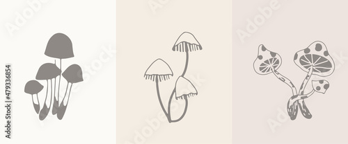 A collection of boho style templates. Mushrooms, poisonous mycelium