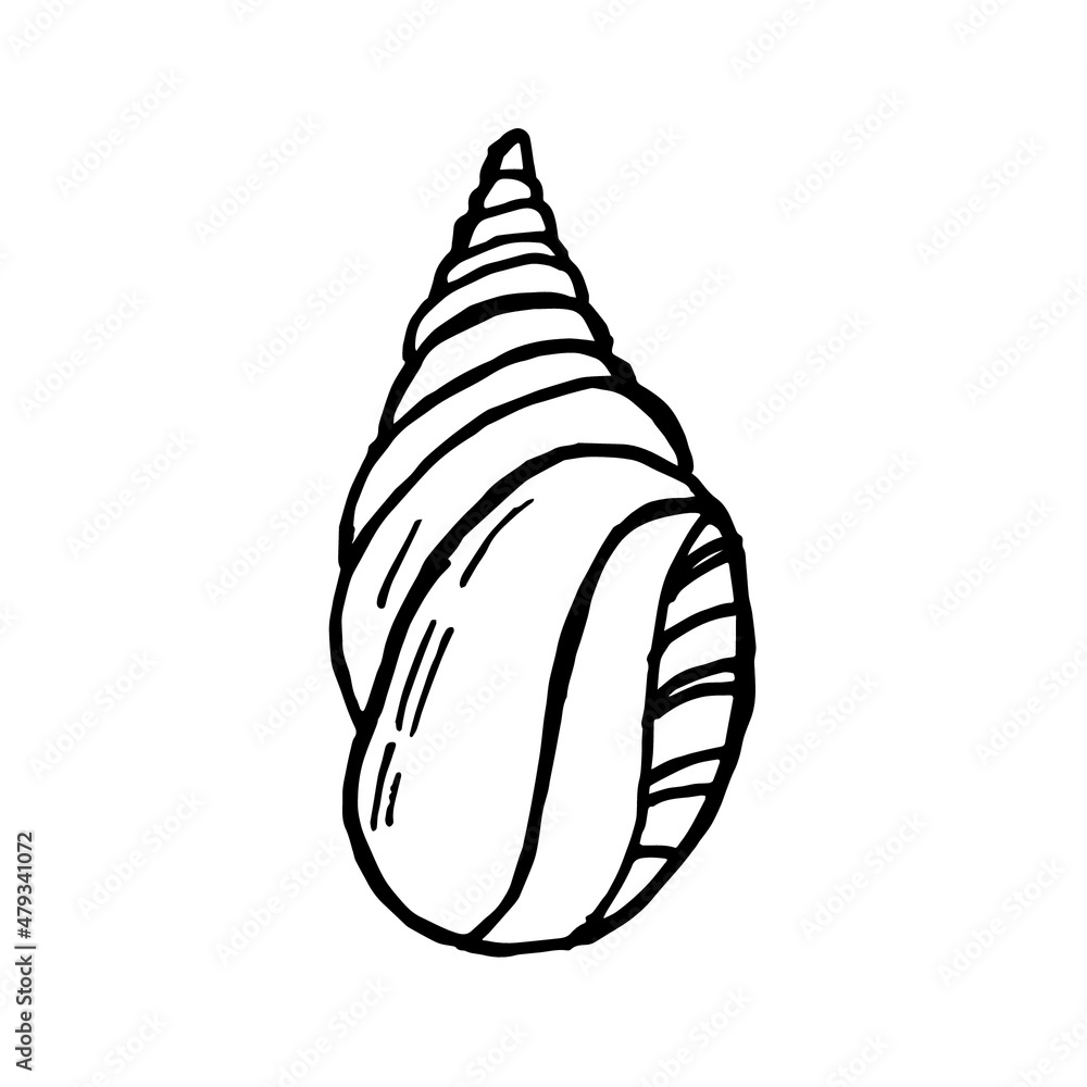 Shells doodle set. Hand-drawn vector sea sell. Shells doodle set. Hand-drawn vector sea sell.