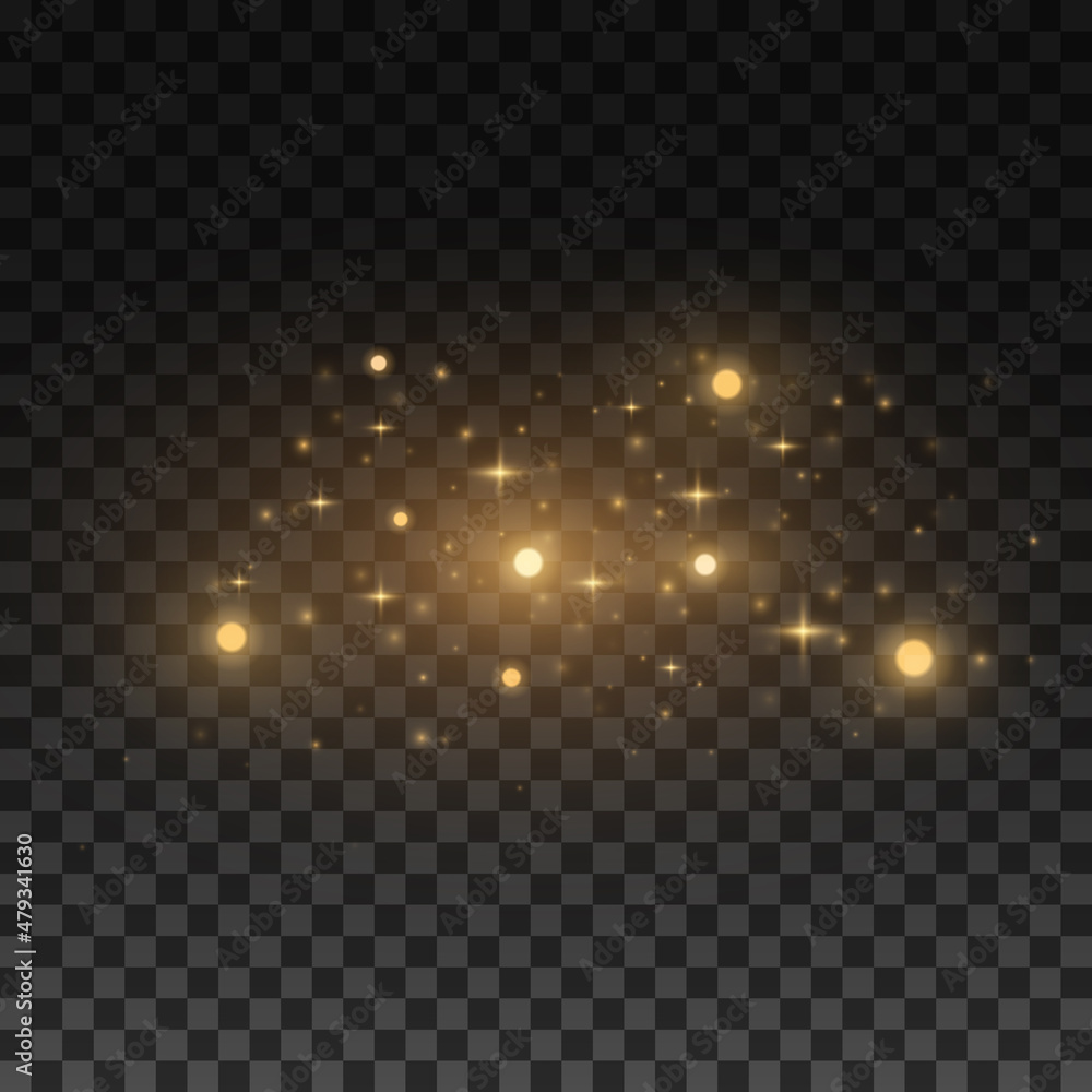 Abstract golden flying lights isolated on dark transparent background. Glare and flare. Glittering stars and and blurry spots. Vector illustration. EPS 10