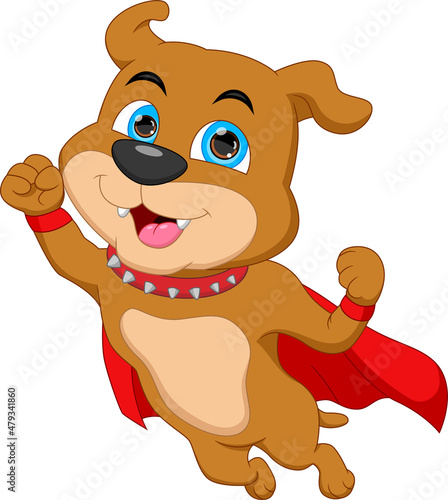 funny dog wearing super hero costume