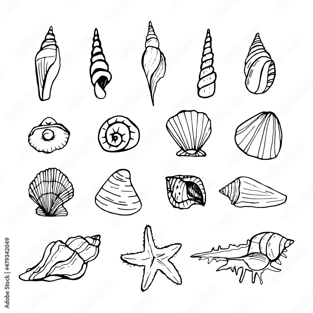 Shells doodle set. Hand-drawn vector sea sell. Shells doodle set. Hand-drawn vector sea sell.
