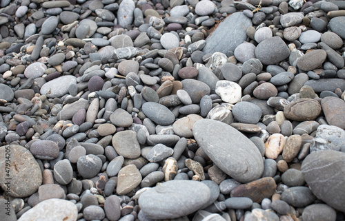 seaside with grey stone beach