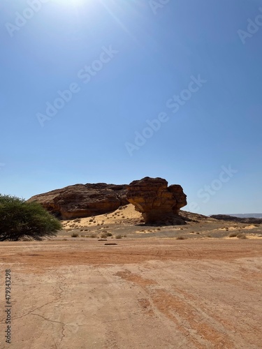 The face rock, Alula, Saudi Arabia