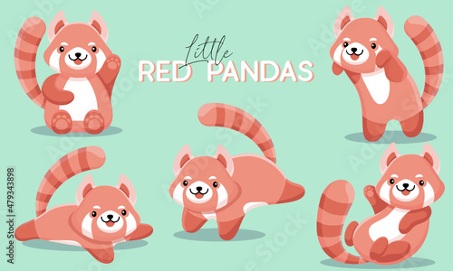 Little Red Pandas