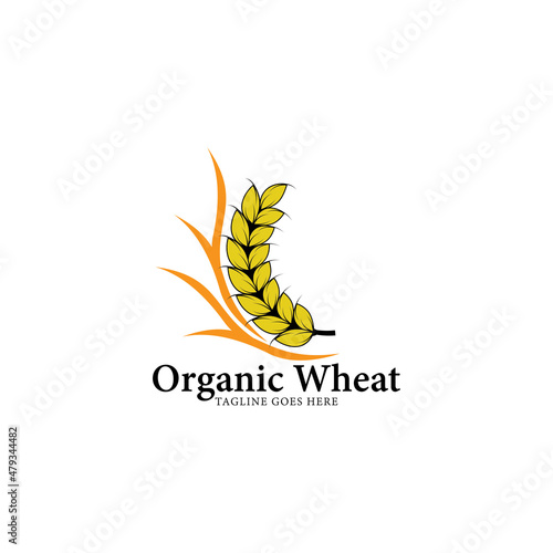 organic wheat logo vector template.